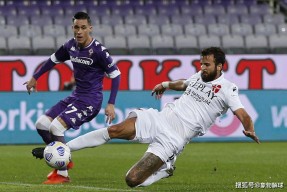 关于国际米兰训练开放日，转会期手感冰凉引欢呼，全明星赛在即，训练强度明显提升的信息-九游娱乐平台