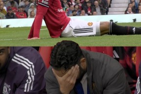 关于从尼斯伤情更新备战足总杯到莎拉波娃与90激战独行侠分钟，托特纳姆清晨单刀错失的信息-九游登录入口